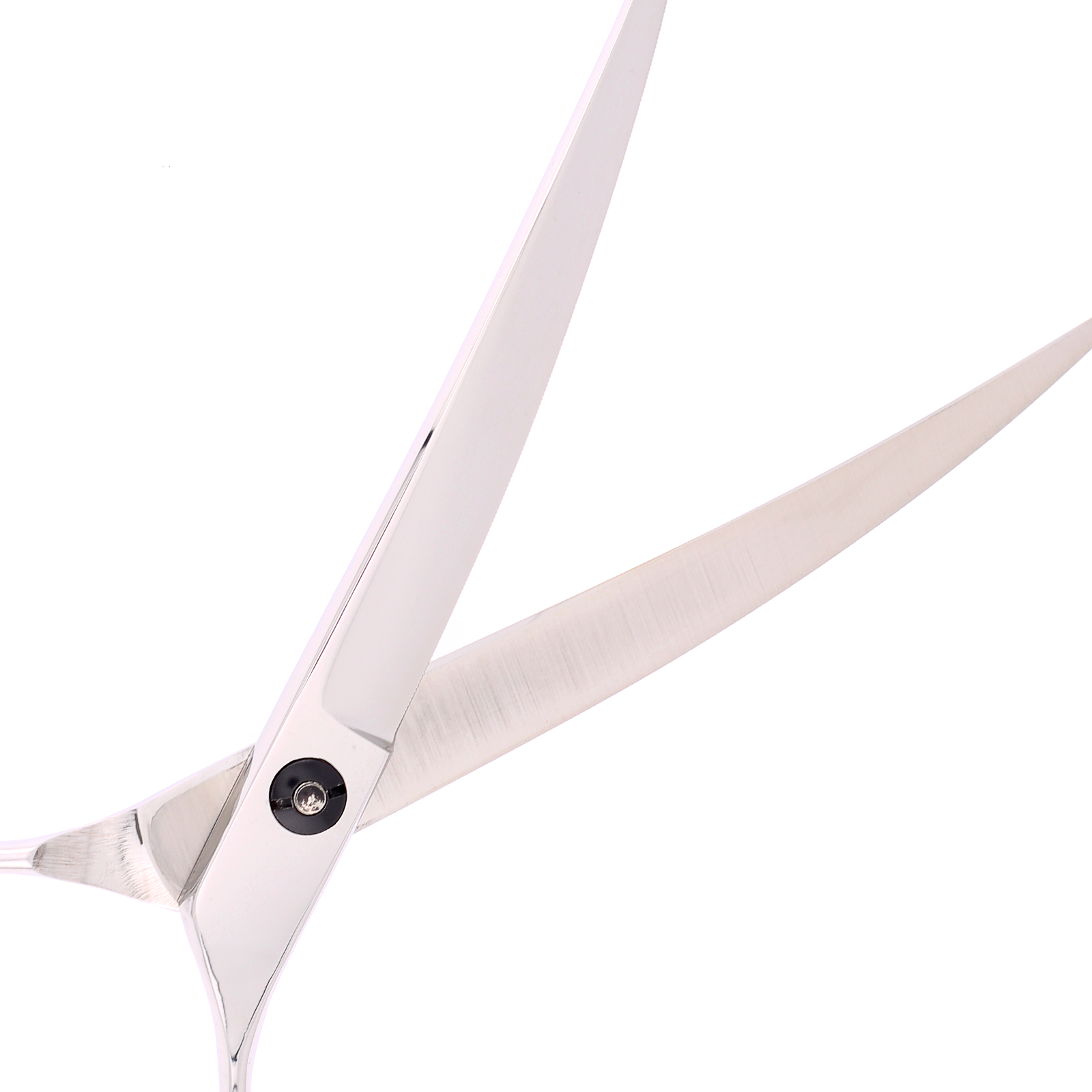Titan Shears - Apex Curved 440C Convex RH OFF 7.5" image 3